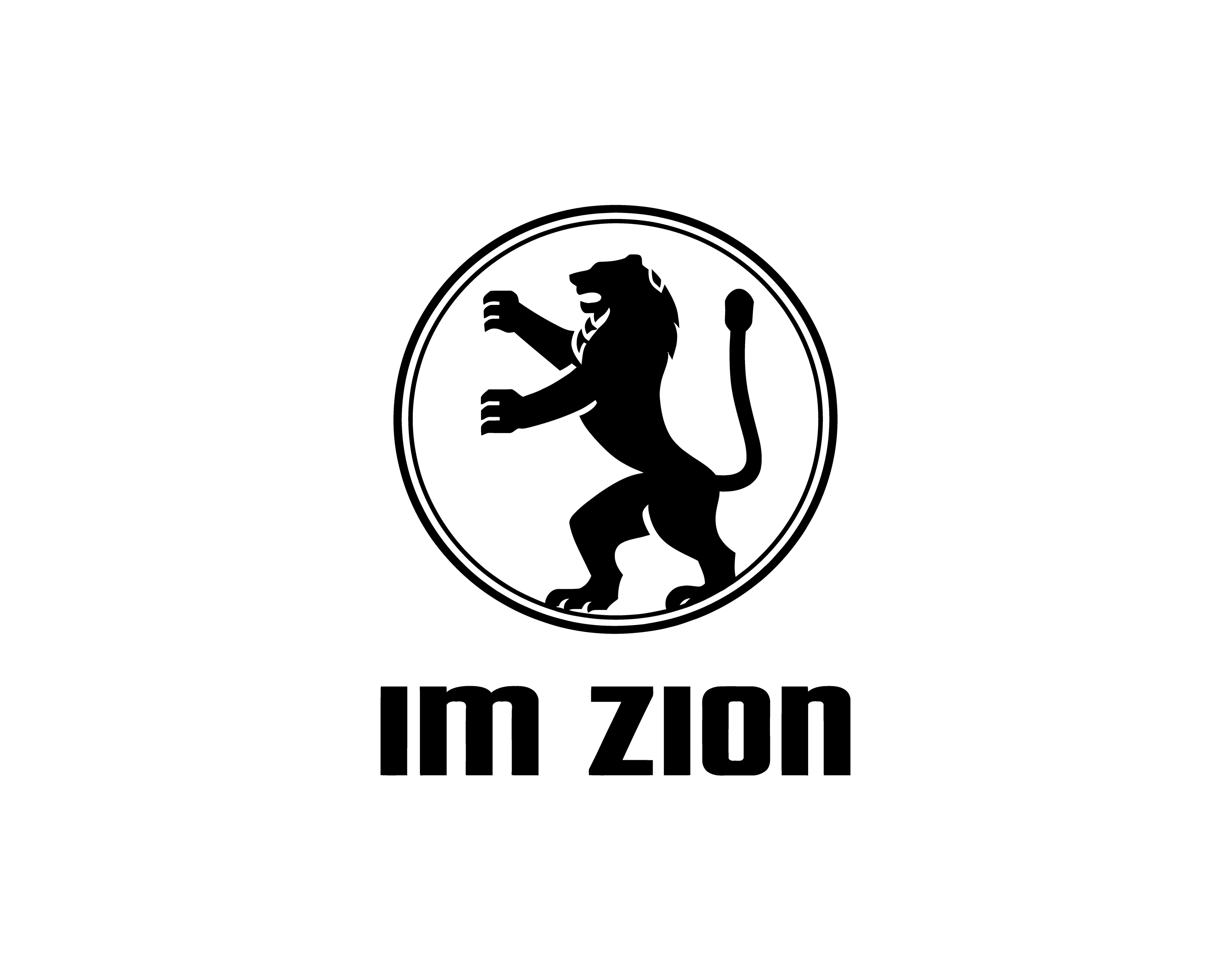 IMZION